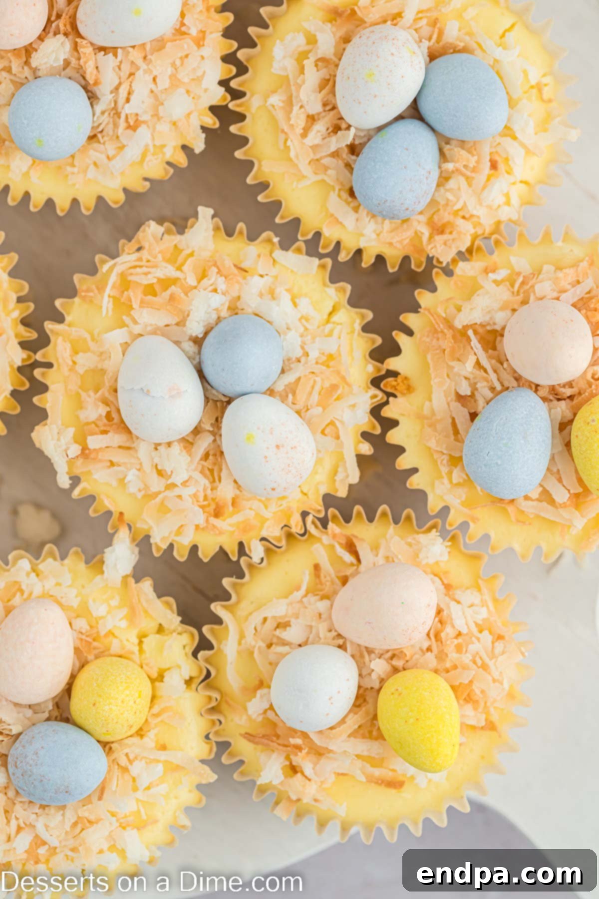 Hoppy Easter Cheesecake Bites 11 A platter of Mini Easter Cheesecakes, with some robin eggs scattered around them, showcasing the festive decoration.