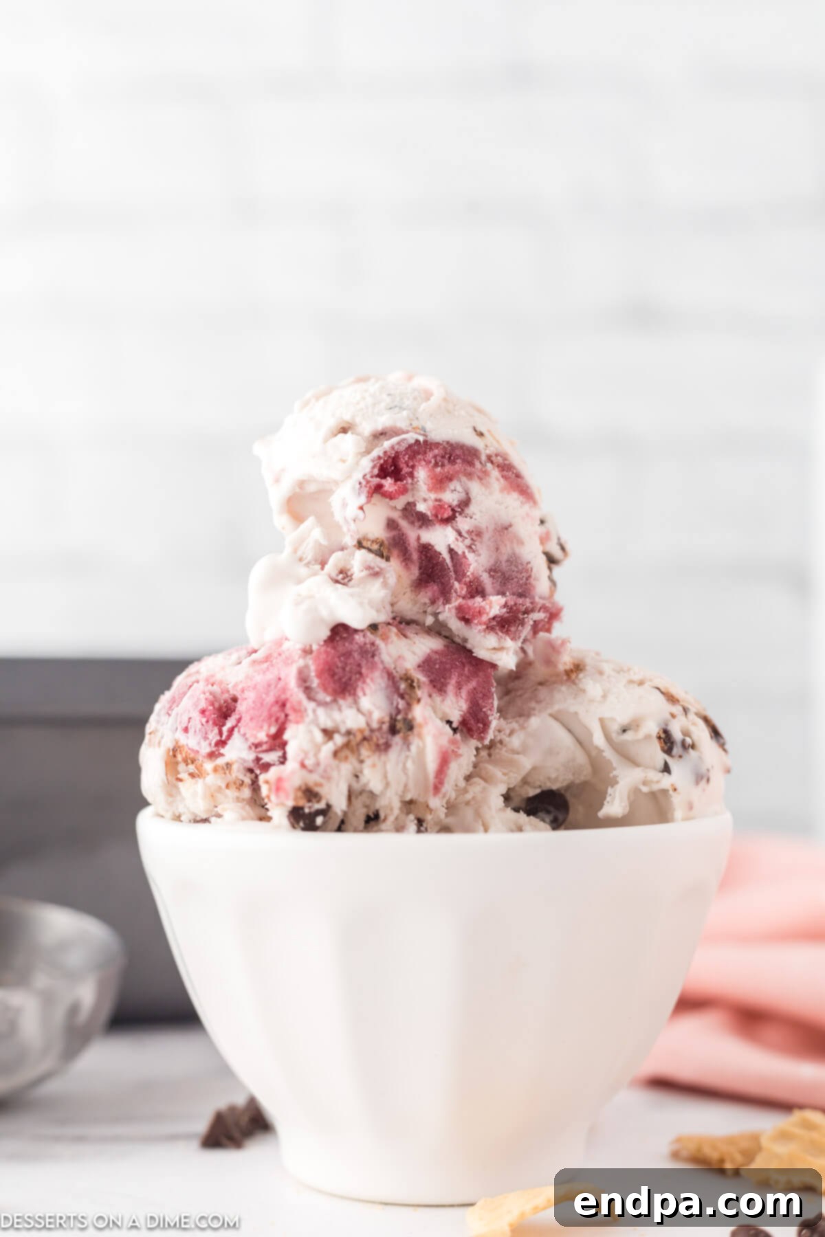 Dark Cherry Chocolate Dream Ice Cream 2 A scoop of homemade Cherry Chocolate Chip Ice Cream in a bowl, garnished with fresh cherries.