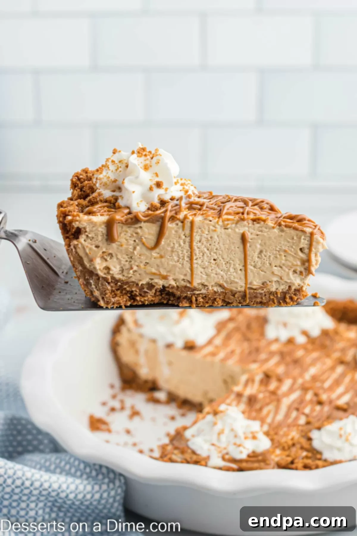 Decadent Cookie Butter Cheesecake 11 A perfect slice of cookie butter cheesecake, garnished with whipped cream and crushed biscoff cookies, ready to be served.