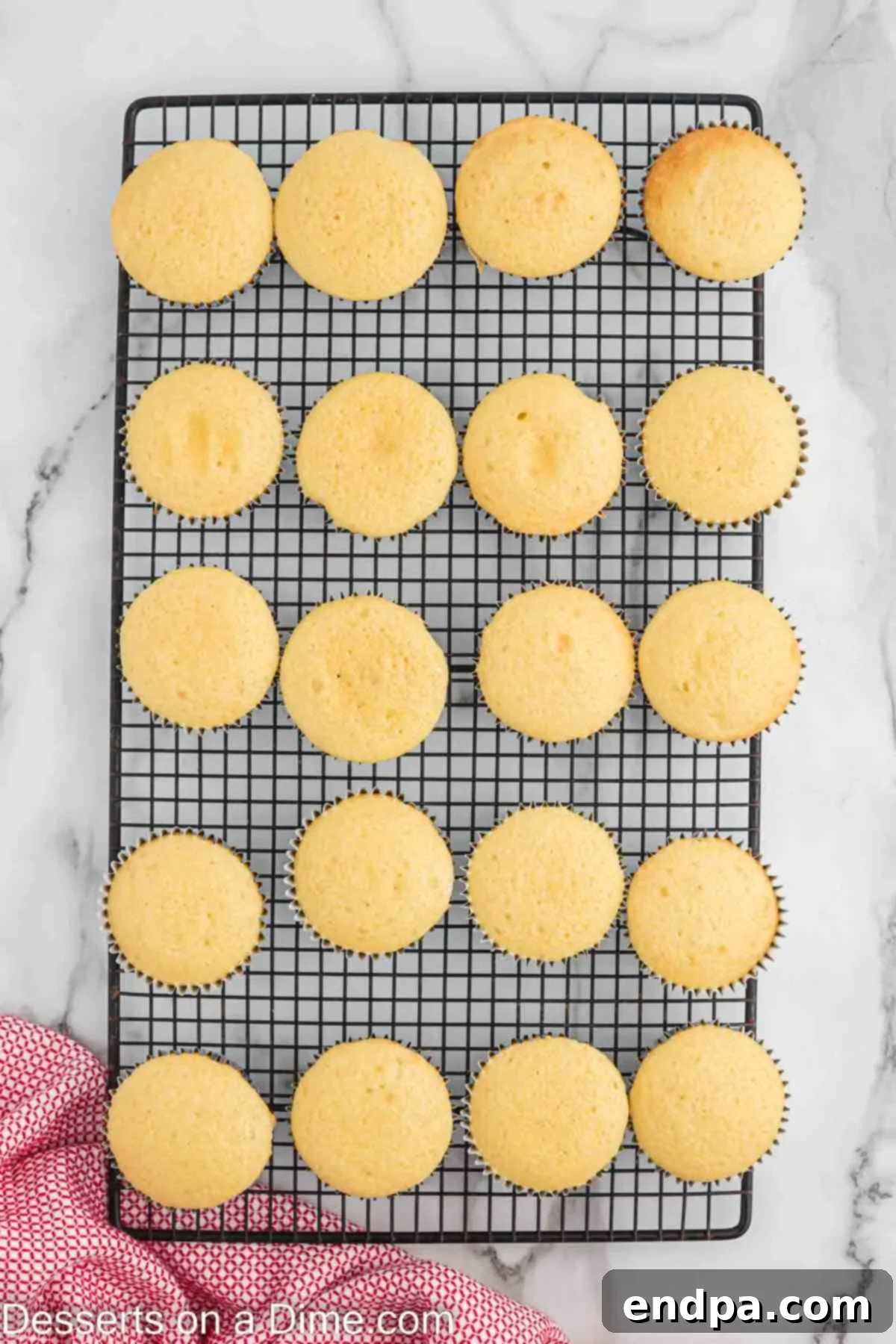 Cupcakes cooling on wire rack. 