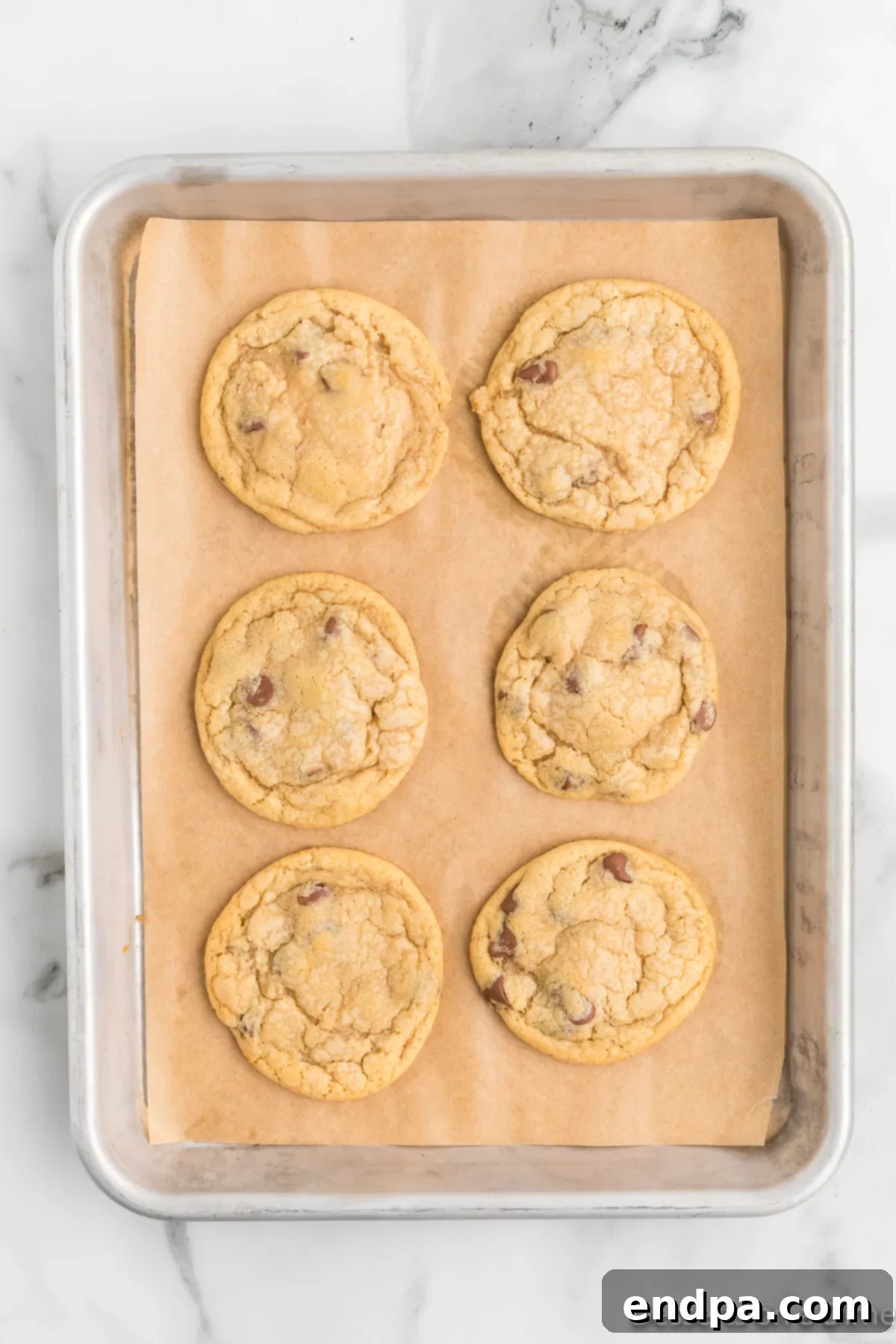 Freshly baked chocolate chip cookies cooling on a baking sheet, with golden-brown edges.