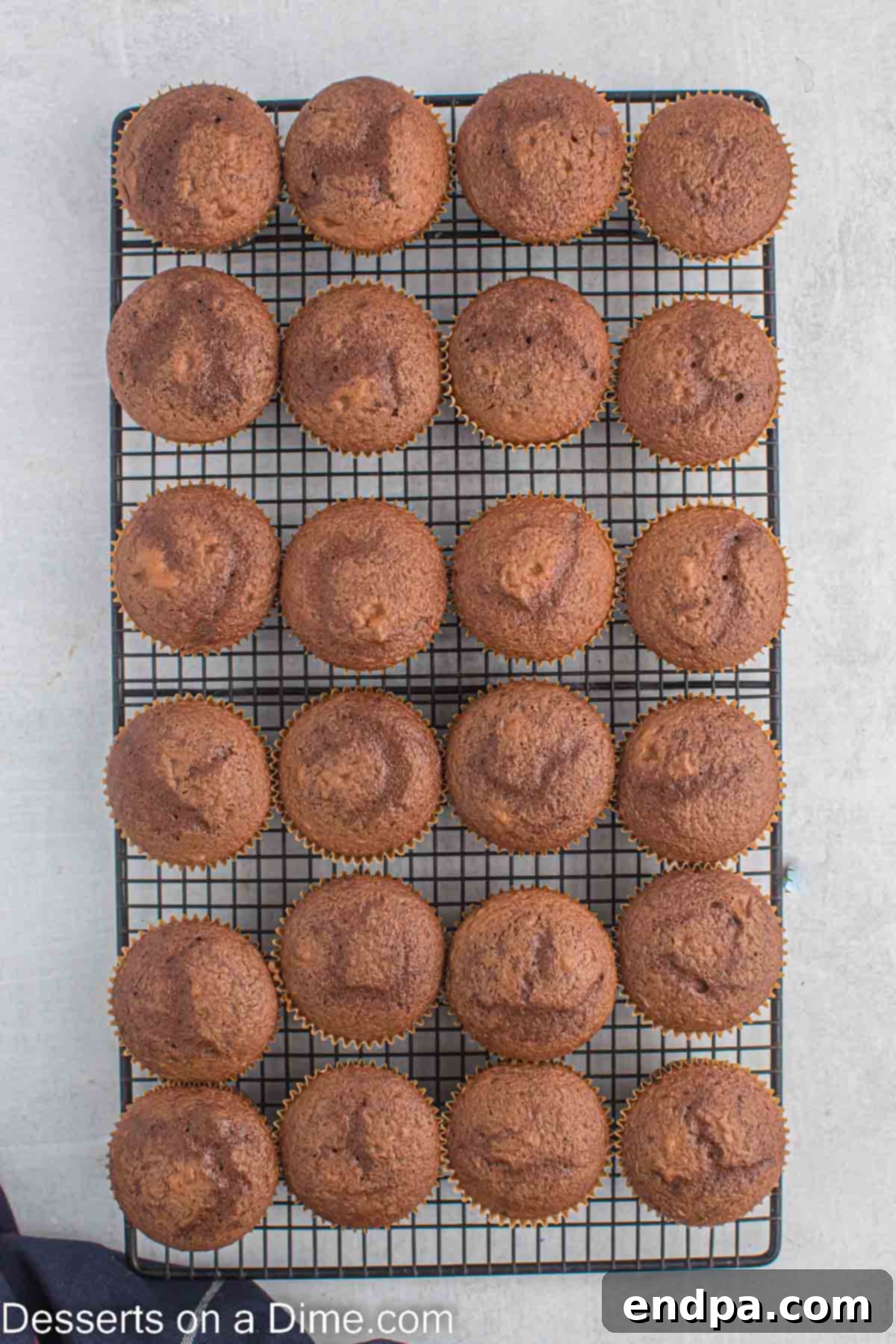 Cupcakes on wire rack cooling after baking.