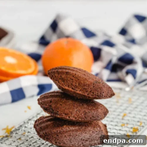 Three exquisite chocolate orange madeleines, shaped like shells, arranged on a cooling rack beside fresh oranges.