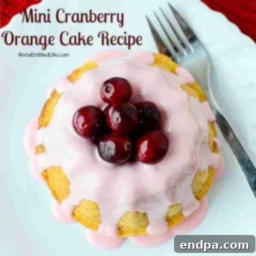 A charming mini cranberry orange cake, glazed and topped with a single red cherry, presented on a delicate white plate.