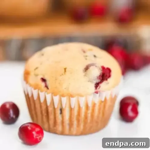 A golden-brown cranberry orange muffin, speckled with cranberries, served on a pristine white plate.