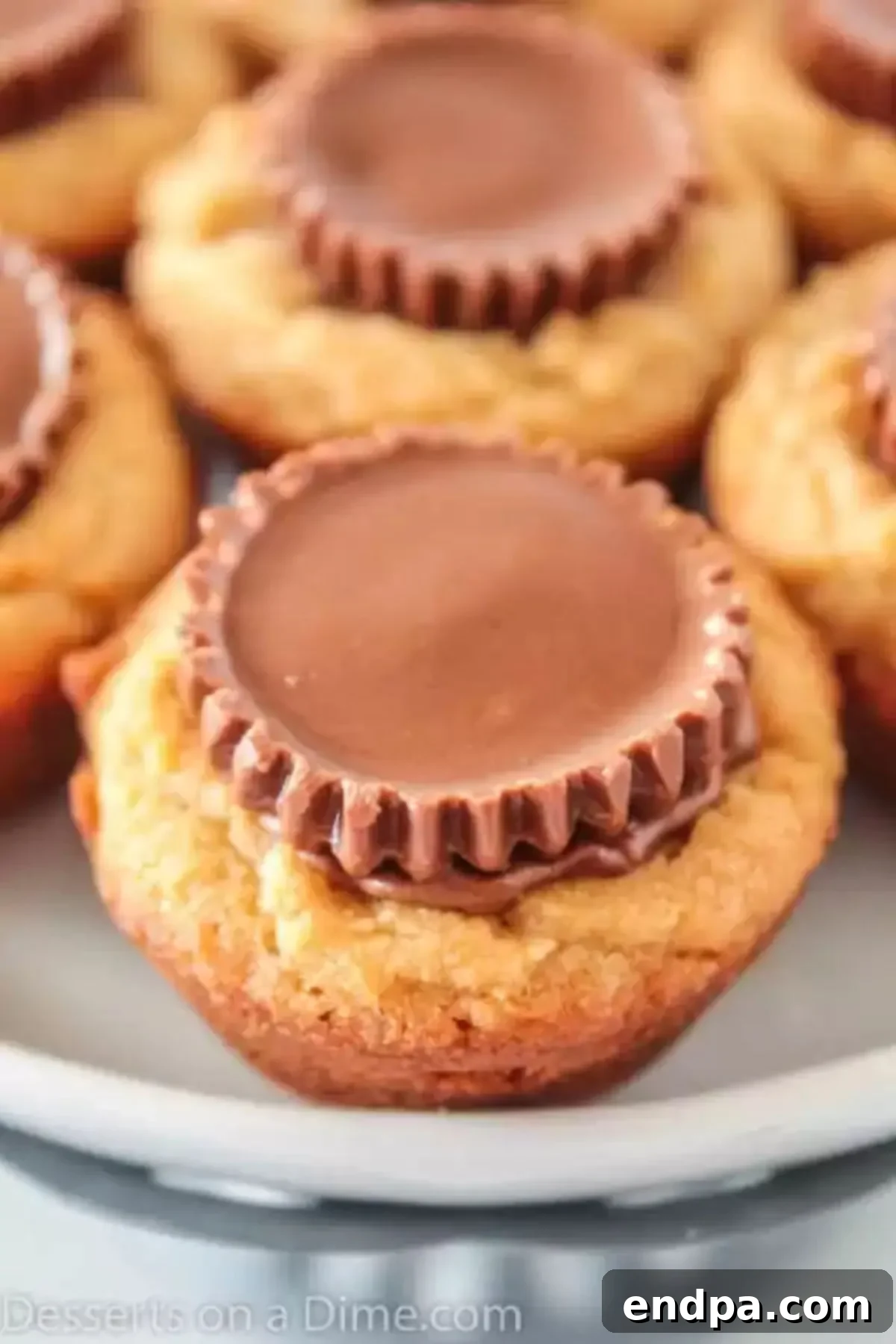 Close up image of freshly baked peanut butter cup cookies, each with a mini Reese's peanut butter cup pressed into the center.