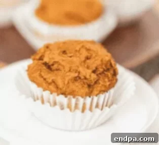 Two-ingredient pumpkin muffins, soft and moist.