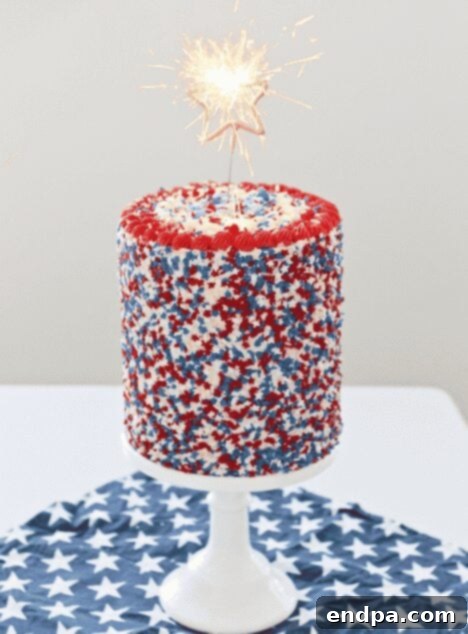 Red White and Blue Cake Masterpieces 14 A vibrant 4th of July Funfetti Cake, adorned with red, white, and blue sprinkles.
