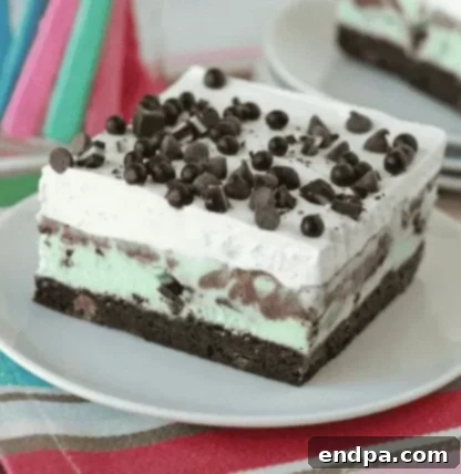 33 Scrumptious Ice Cream Treats 8 A slice of ice cream cake with chocolate chips.