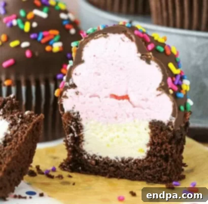 33 Scrumptious Ice Cream Treats 10 Chocolate ice cream cupcakes with sprinkles.