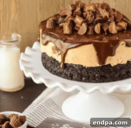 33 Scrumptious Ice Cream Treats 11 A chocolate peanut butter cheesecake with a chocolate peanut butter topping.