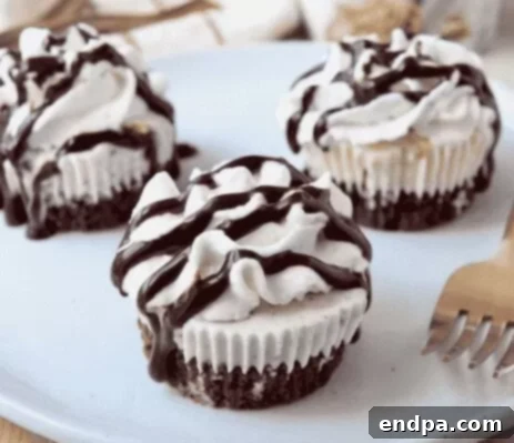 33 Scrumptious Ice Cream Treats 25 Three chocolate cupcakes with whipped cream and chocolate drizzle.