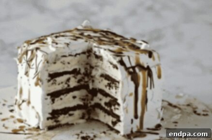 33 Scrumptious Ice Cream Treats 3 A cake with chocolate icing and ice cream on top.