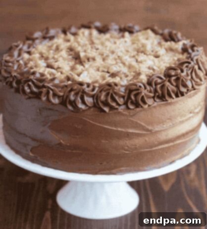 A beautifully decorated German Chocolate Cake slice.