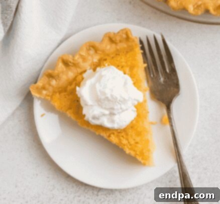 A slice of Buttermilk Pie with a creamy filling and crackled top.