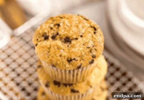Chocolate chip muffins on a white plate.