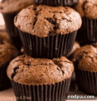 Double Chocolate Chip Muffins in a muffin liner.