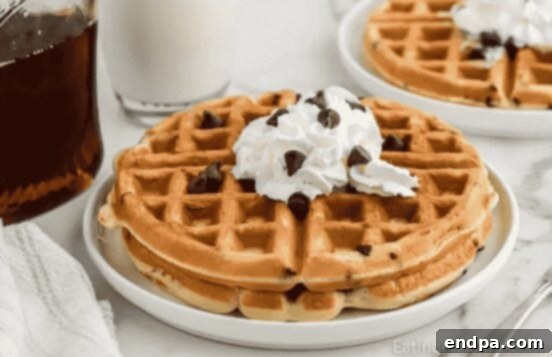 Chocolate Chip Waffles with chocolate sauce.