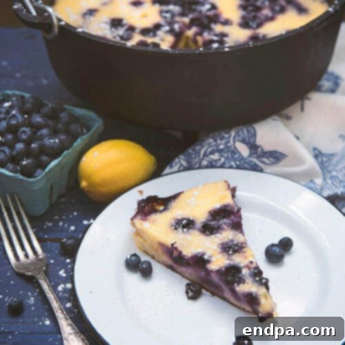 A vibrant Dutch Oven Lemon Blueberry Clafoutis, fresh and warm from the oven.