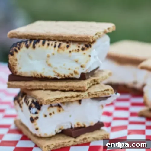 Traditional Campfire S'mores with perfectly toasted marshmallows, chocolate, and graham crackers.