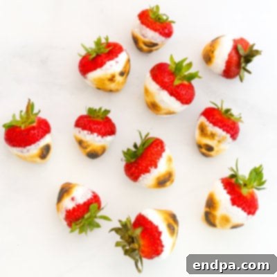 Fresh Campfire Strawberries skewered and ready to be roasted over a fire.