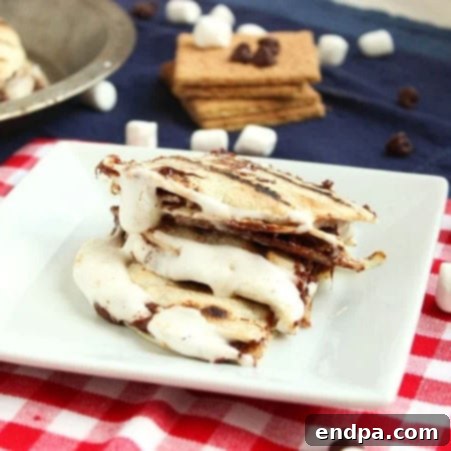 Melted chocolate and marshmallows in a Campfire Dessert Quesadilla, golden and toasted.