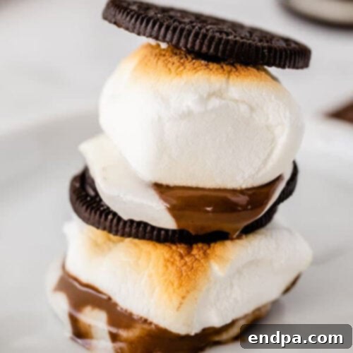 Oreo S'mores, featuring toasted marshmallows and chocolate between Oreo cookies.
