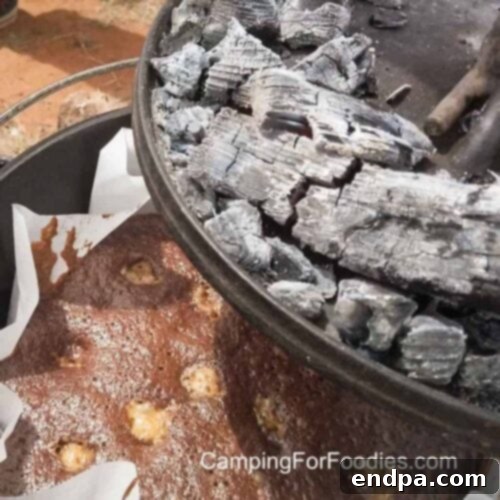 Decadent Campfire Brownies, rich and fudgy, baked in a cast iron skillet.