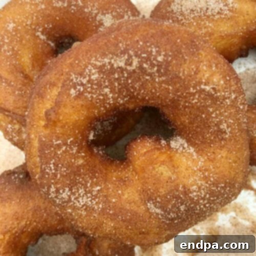 Golden-brown Campfire Donuts, warm and ready to be coated in sugar or glaze.