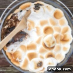 A delicious Dutch Oven S'mores Cake with toasted marshmallows on top.