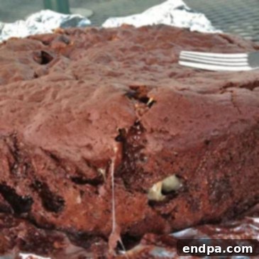 A rich Dutch Oven Chocolate Cake, baked to perfection for a camping treat.