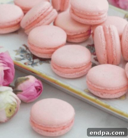 Sweet Success Treats 4 Assortment of colorful French macarons on a white plate.