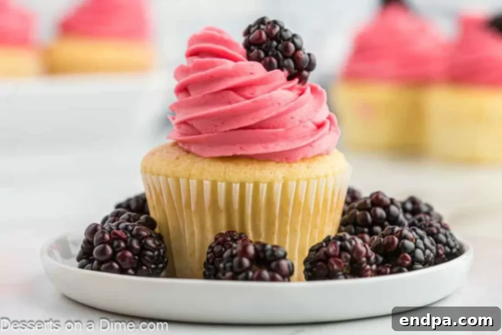 A cupcake topped with luscious Blackberry Buttercream Frosting, adorned with fresh blackberries, suggesting a sweet and vibrant dessert.