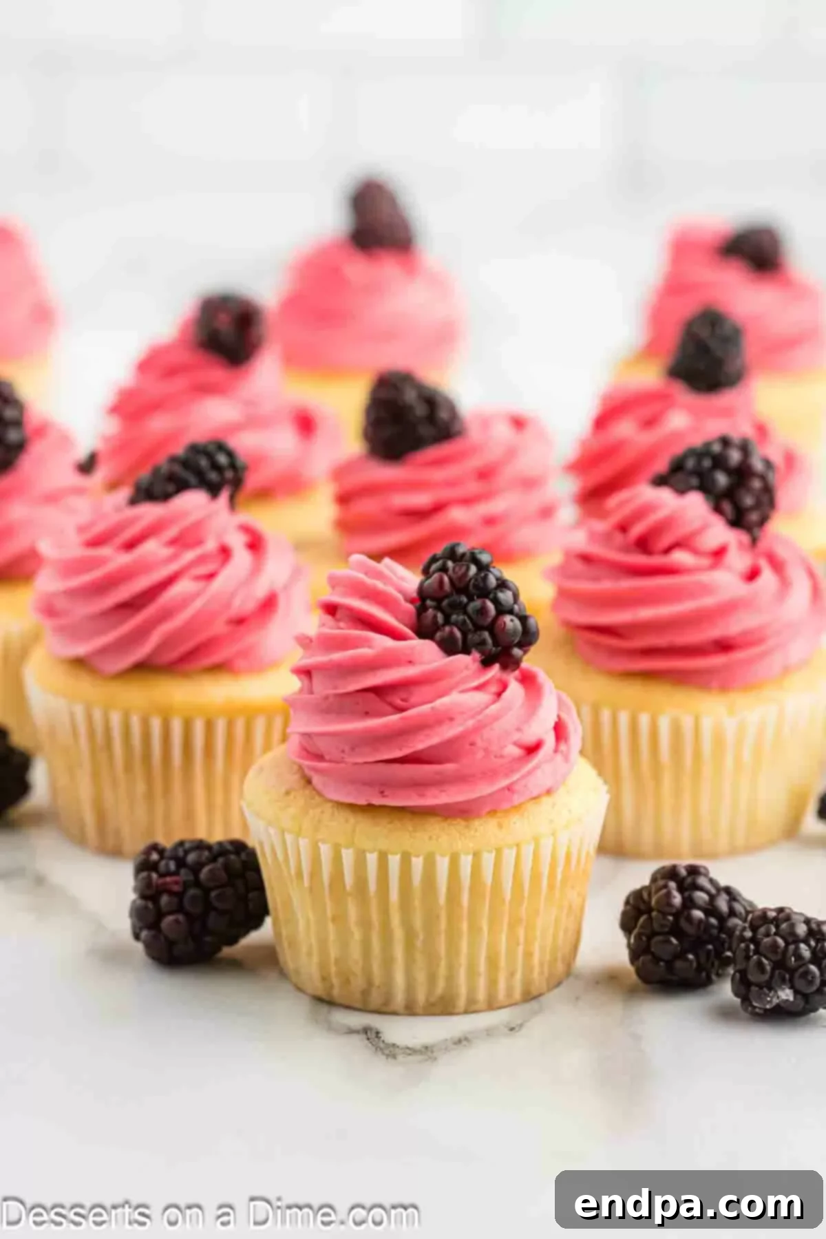 Beautifully decorated cupcakes with Blackberry Buttercream Frosting, some topped with whole fresh blackberries, creating an inviting dessert display.