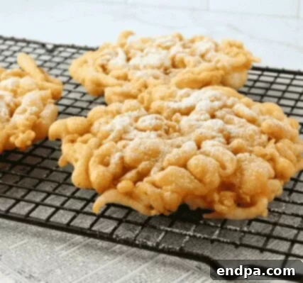 Tasty Vegan Funnel Cake option for plant-based diets, topped with powdered sugar.