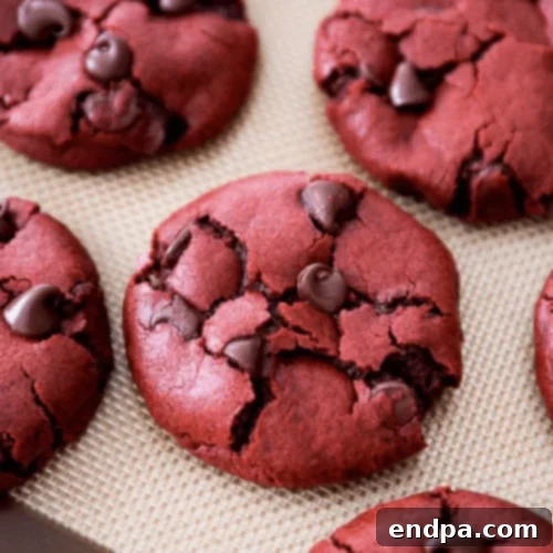 29 Irresistible Red Velvet Desserts 5 Soft-baked red velvet chocolate chip cookies, featuring vibrant red dough and melty chocolate chips, cooling on a rack.