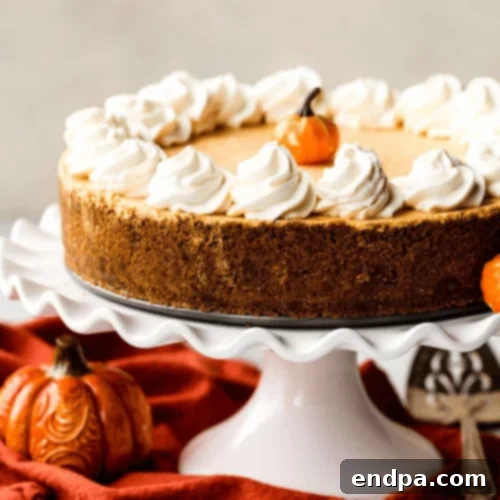 No bake pumpkin cheesecake on a pedestal.