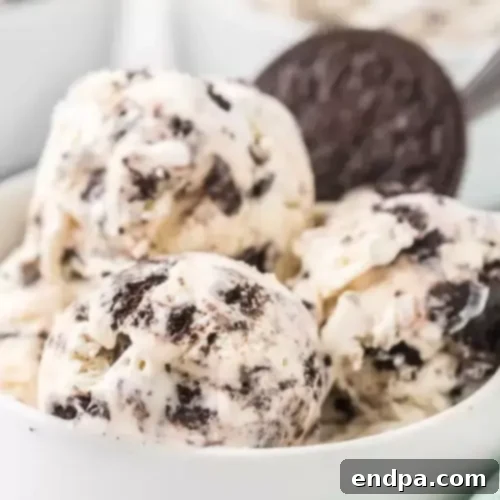 44 Refreshing No-Bake Summer Treats 12 Scoops of Homemade Cookies and Cream Ice Cream, flecked with dark cookie pieces, in a bowl.