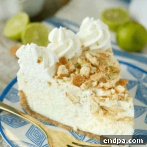 44 Refreshing No-Bake Summer Treats 16 A slice of No Bake Key Lime Mousse Pie, showing a creamy green mousse filling in a cookie crust, topped with whipped cream.