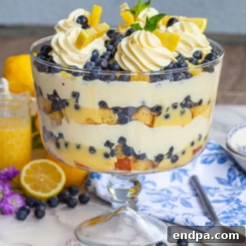 44 Refreshing No-Bake Summer Treats 7 Elegant Lemon Blueberry Trifle, showcasing beautiful layers of lemon cake, creamy filling, and fresh blueberries.
