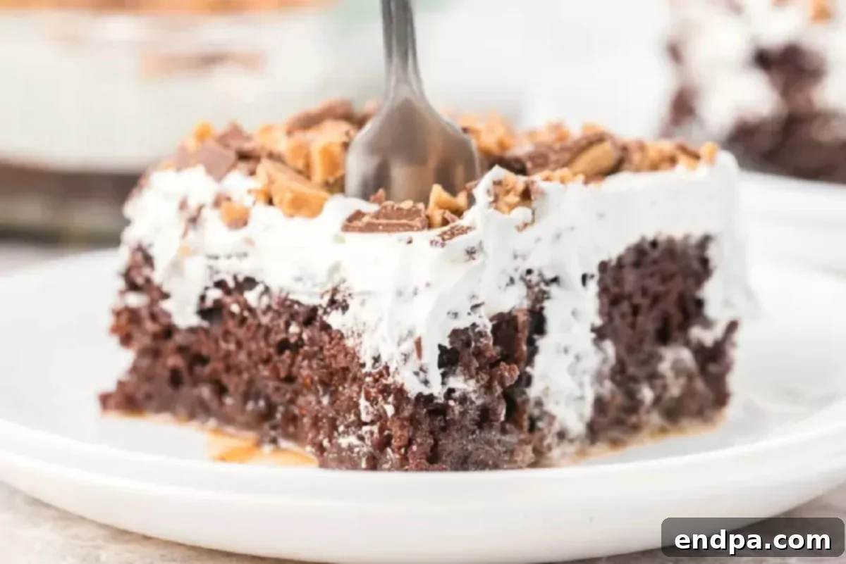 Heavenly Decadence Cake 5 Better than Sex Cake cut into slices and served.