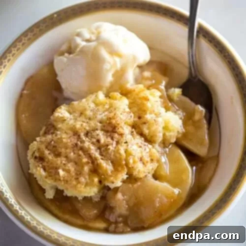 51 Effortless Apple Delights 14 Warm Apple Cobbler with ice cream