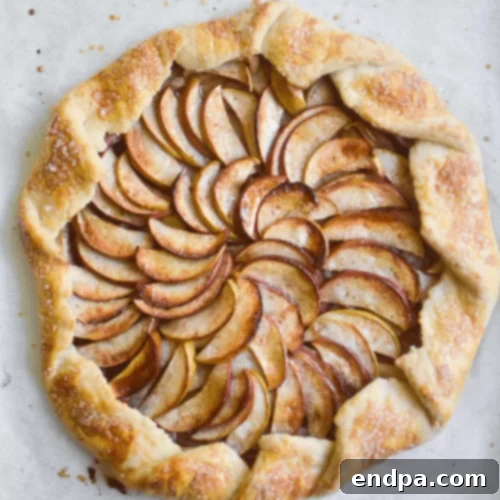 51 Effortless Apple Delights 17 Rustic Apple Galette on a baking sheet