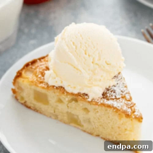 51 Effortless Apple Delights 21 Moist French Apple Cake