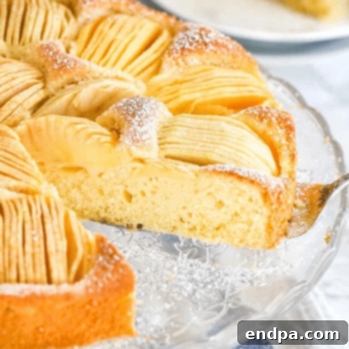 51 Effortless Apple Delights 26 Hearty German Apple Cake