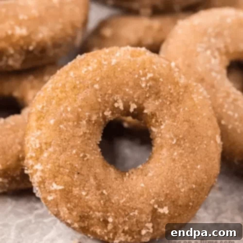 51 Effortless Apple Delights 32 Apple Cider Donuts with cinnamon sugar