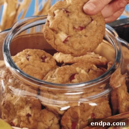 51 Effortless Apple Delights 36 Old Fashioned Apple Cookies