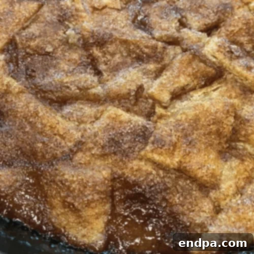 51 Effortless Apple Delights 40 Hearty Apple Pandowdy