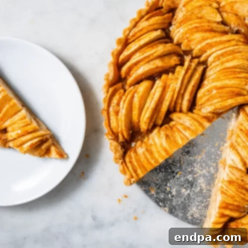 51 Effortless Apple Delights 10 Elegant French Apple Tart