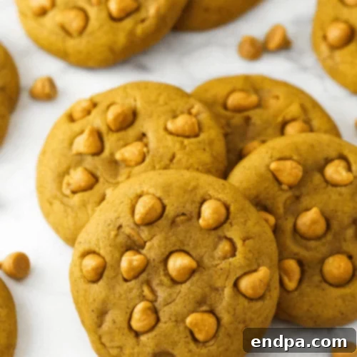Wickedly Wonderful Halloween Cookie Ideas 9 Chewy Pumpkin Butterscotch Chip Cookies, dense and full of flavor